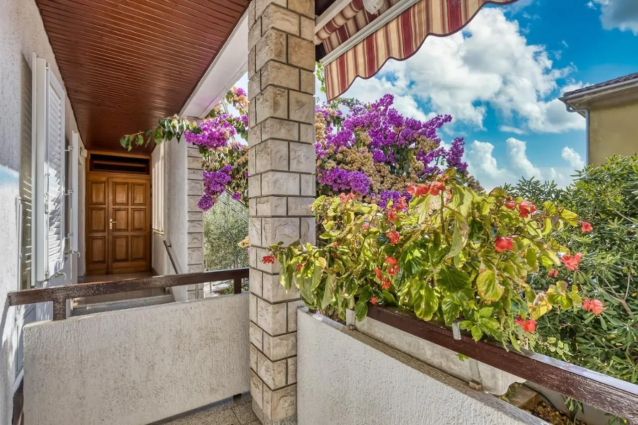 Apartments Azra Pula Croatia